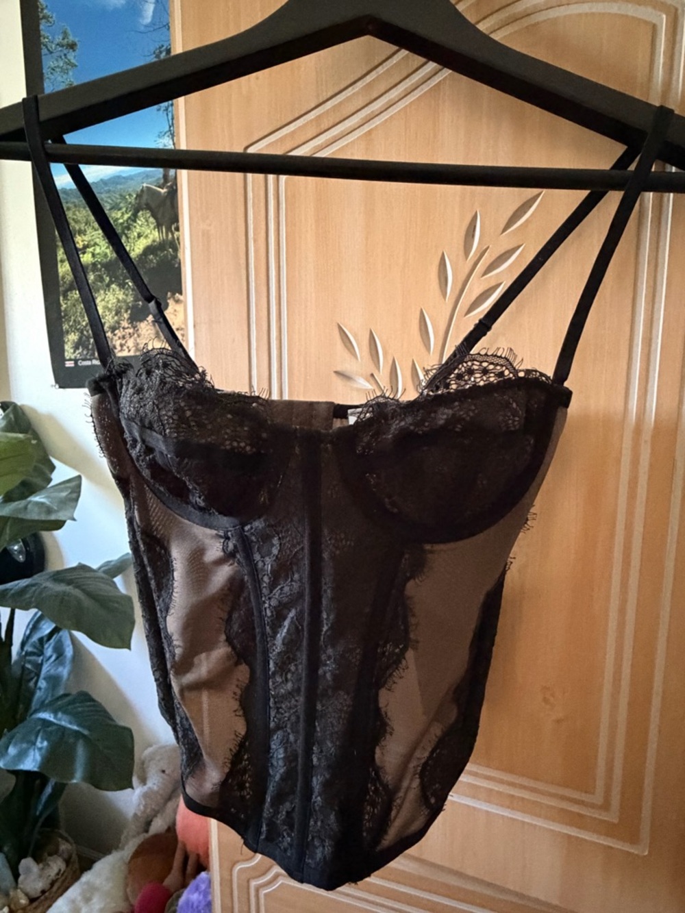 Urban Outfitters Black Lace Bustier Tank Top